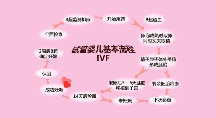 第二代供卵试管婴儿孩子更聪明？供卵试管婴儿1、2、3代总结!