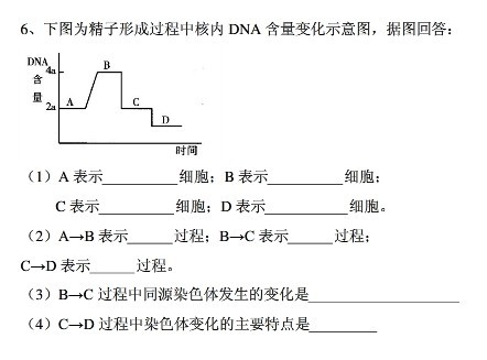 多年不孕但卵巢内有卵泡，能否通过借卵试管婴儿成功怀孕？