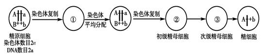 借卵试管婴儿孩子会有影响吗-借卵试管婴儿对未来有什么影响？