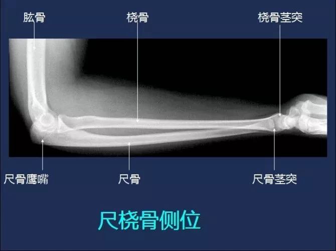 林炳兴博士借卵试管婴儿生育医疗中心