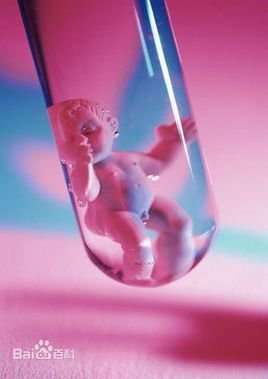 3分钟了解第三代借卵试管婴儿技术的核心内容