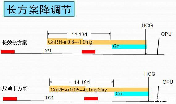 那些关于供卵借卵代生试管的传言