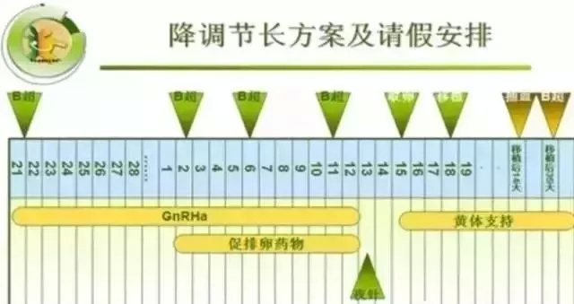 做供卵借卵试管供卵我需要做什么？去医院做试管三代代生前期检查