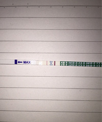 供卵做二代自怀试管的孕妇可以吃韭菜吗适量吃对身体有益处,孕妈别错过