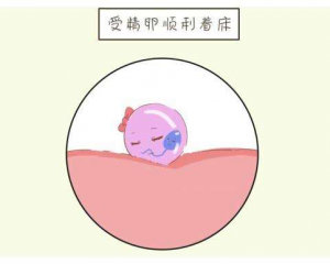 供卵试管促排雌二醇高好还是低好