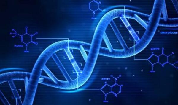 遵义医学院附属医院做借卵试管移植冻胚女性有哪些注意事项