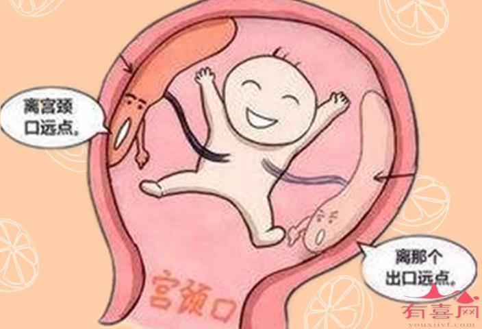 我在排卵前吃了半个月的感冒药，这个月怀孕了，会不会影响到胎儿？