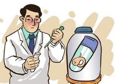 吉林供卵试管婴儿成功率高的医院