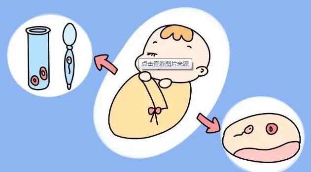 第三代赠卵试管包生男孩副作用