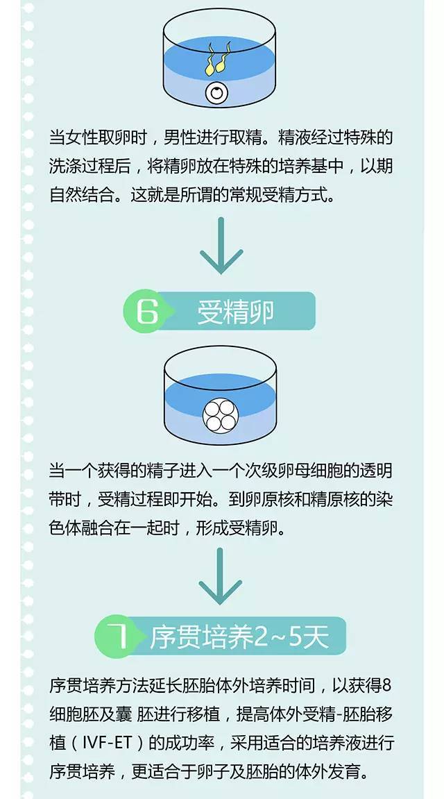 供卵试管婴儿囊胚移植前的流程