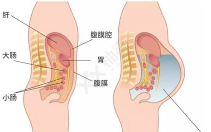 化学赠卵试管图片摆放图