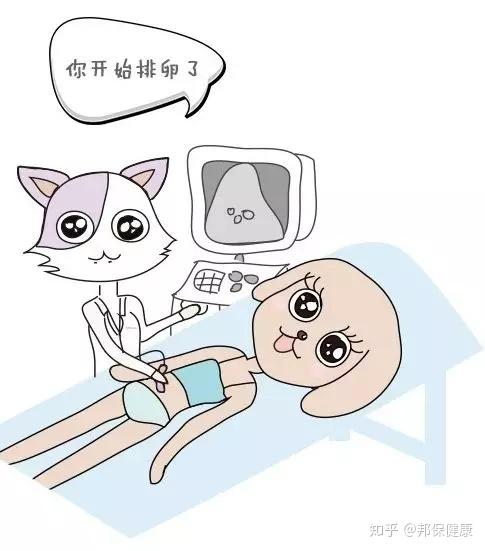 做借卵试管婴儿对身体有什么影响