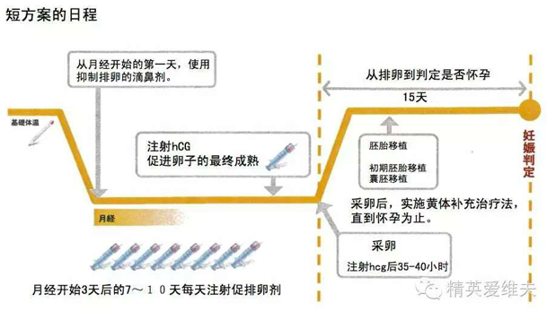 做借卵试管婴儿对身体有什么影响