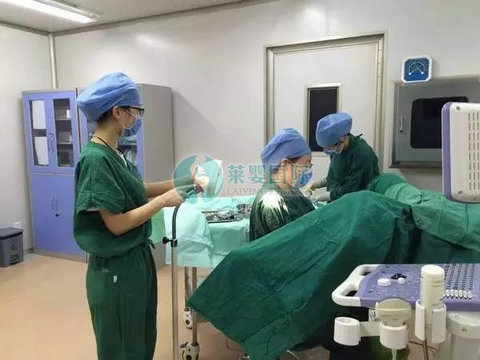 试管多久可以移植