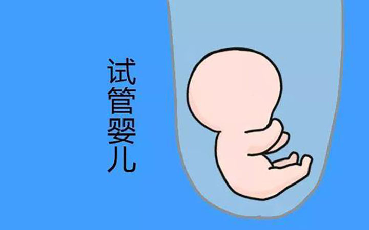 做试管移植吃的什么好