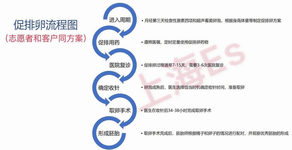 抽血做抗精子抗体检查要空腹吗(抗精子抗体注意事项)