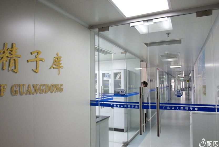 女人做了试管人就废了是不是真的？