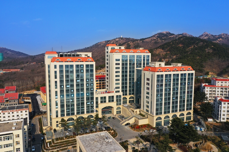 试管卵泡多怎么办失独家庭生子为什么卵泡很多取到的卵子却很少