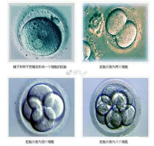 试管促排期间卵泡大小不太均匀要如何补救？