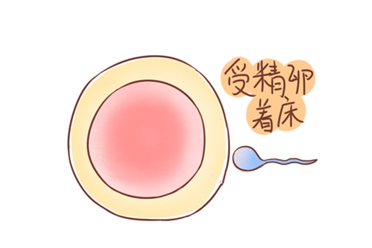 吉林供卵被骗经历中都有些什么套路？