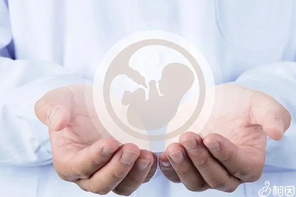 第四代可以试管代怀么比全国哪做试管代怀好选男孩好在哪里？说完你就知道!