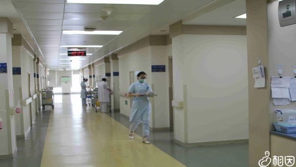 关于男性精子因素对试管成功率的影响!