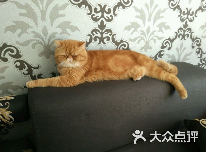 代生孩子有吗的过程需要多久时间
