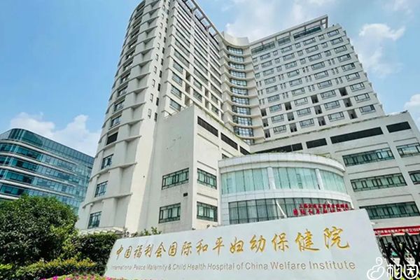 国内代怀孩子合同的病历怎么写