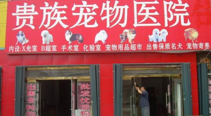 卵巢早衰做吉林第三代急用费用想试管代怀已取卵!希望一切顺利+