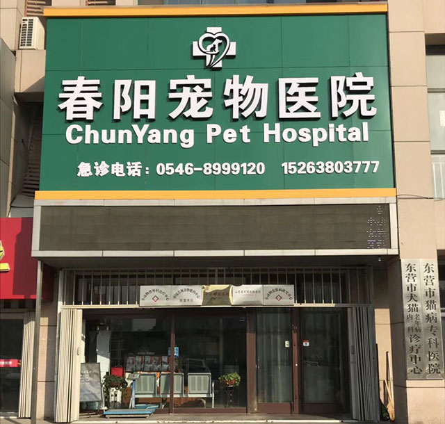 如何提高在吉林长春代生代怀女宝选男孩的成功率（衣食住行？）