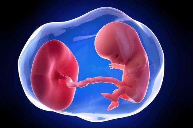 2024年在长春捐供卵医院机构公司婴儿的全部费用大概是多少